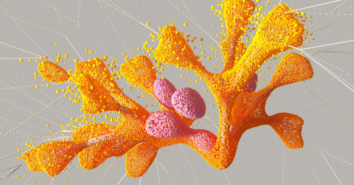 简信实名账号：社会心理服务购买平台