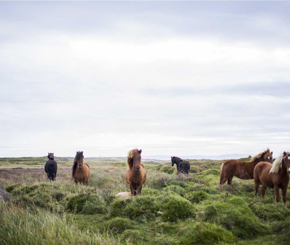 百纵科技实名账号：手游详情下载教程平台app