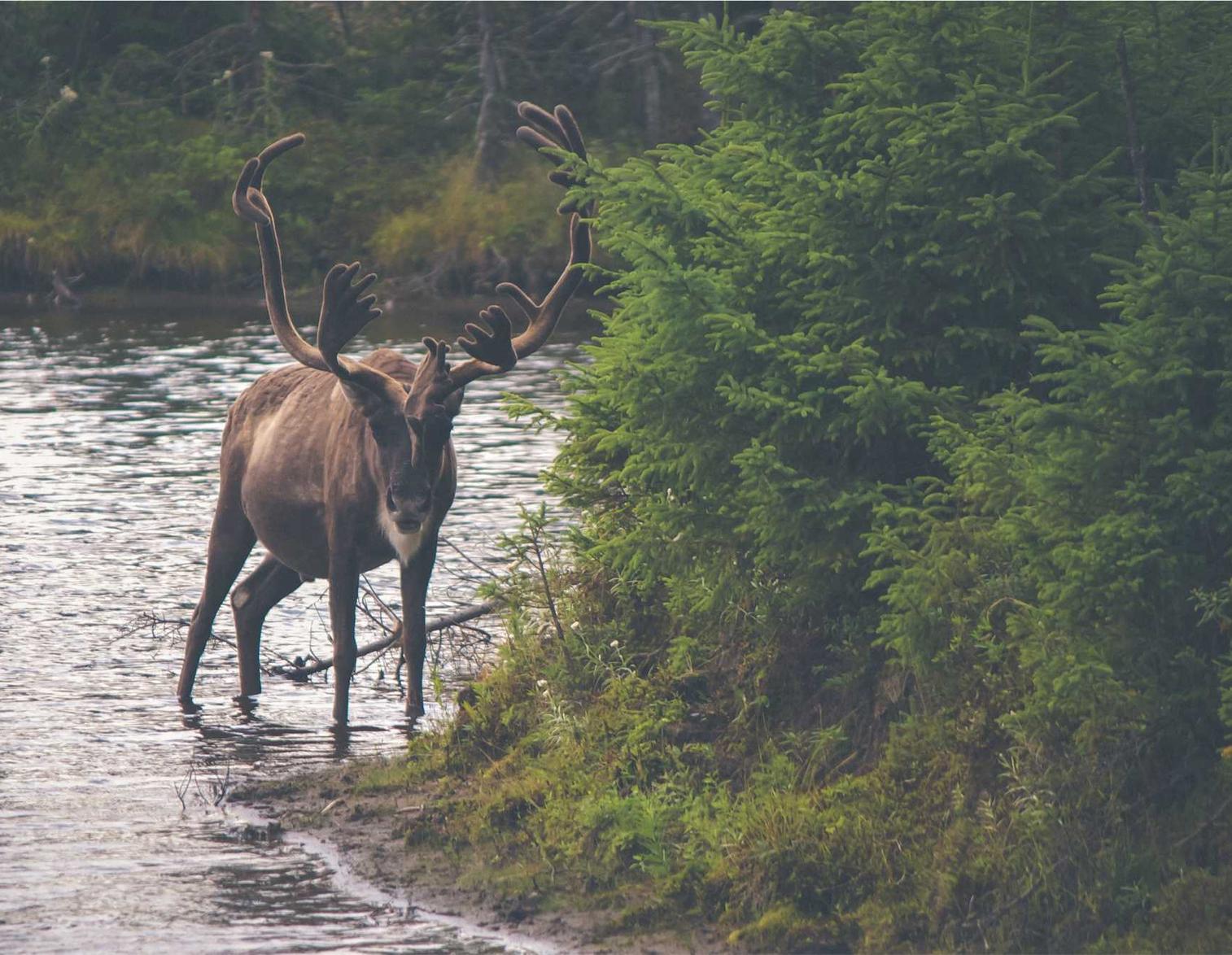tcp攻击|怎么代理借条平台