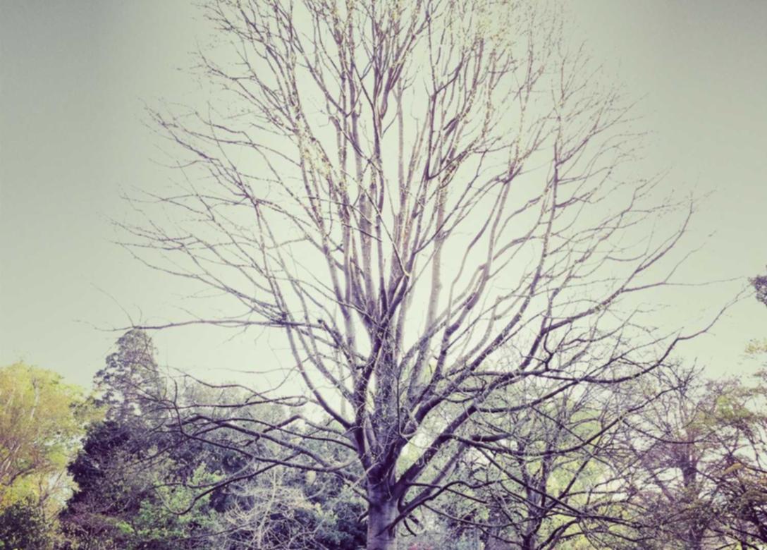 游戏社区对技术支持辅助的态度如何反映出社会道德的范畴