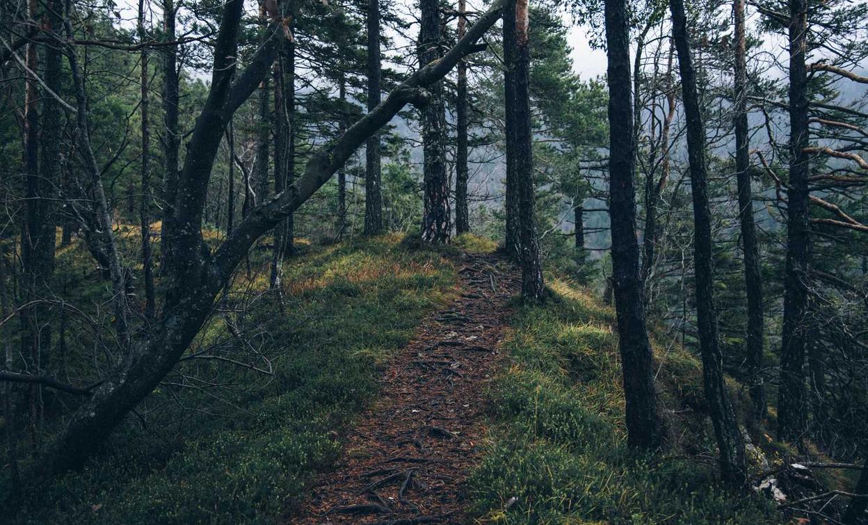 博希如何在营销中合理运用短视频营销？