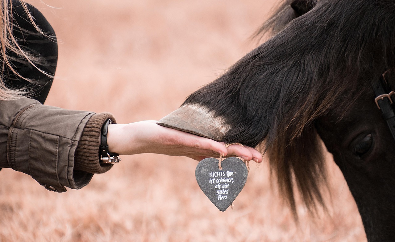 百度云实名账号：amila哪个平台购买