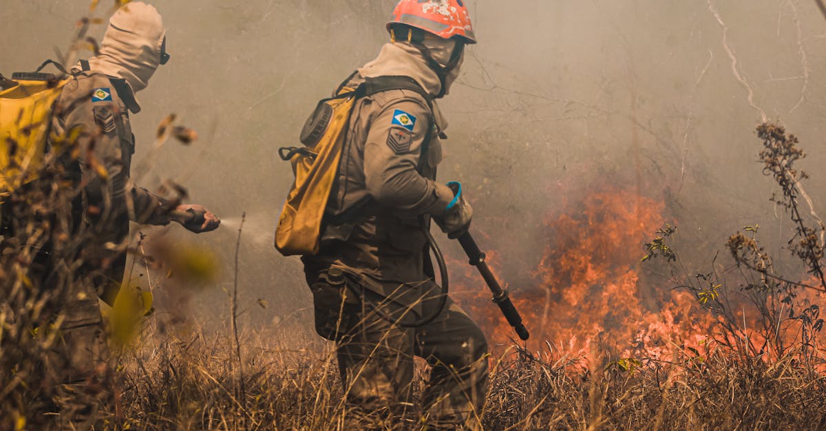 天启ip实名账号:网络游戏代理服务平台官网