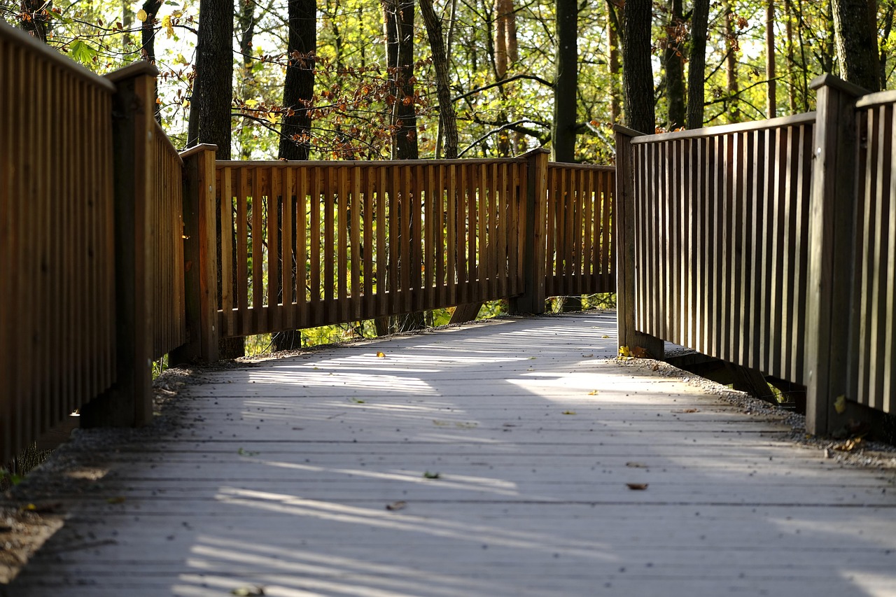 渔乐吧平台怎么代理