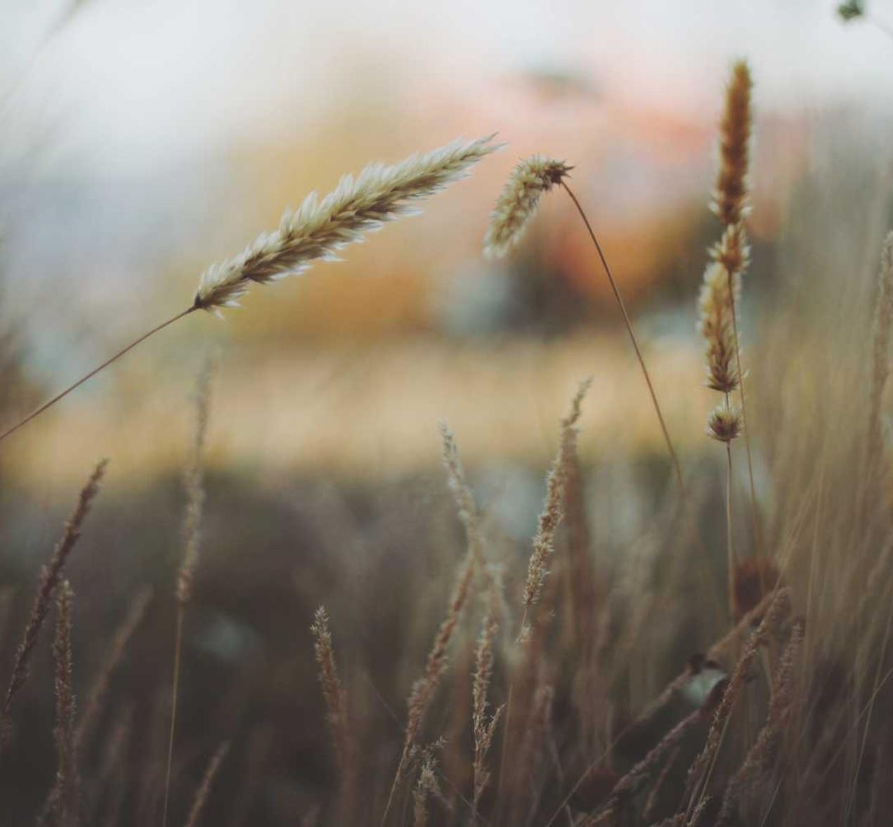 恒悦注册代理注册中介