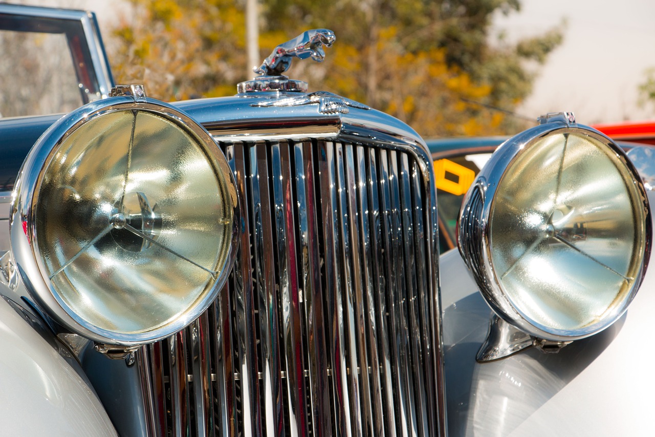 无嘴黄骆驼：宾川专业公司注册代理电话